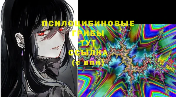 PSILOCYBIN Магас