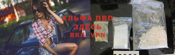 PSILOCYBIN Магас