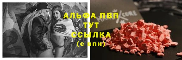 скорость Липки