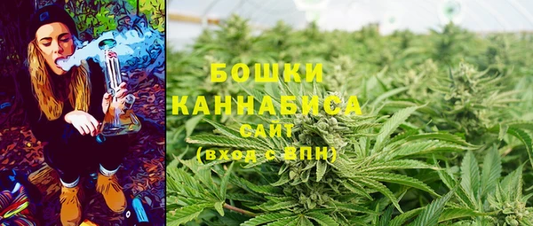 крисы Майский