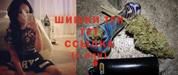 PSILOCYBIN Магас