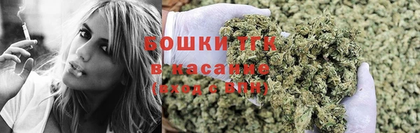 PSILOCYBIN Магас