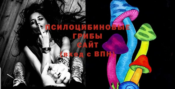 гидра Лиски