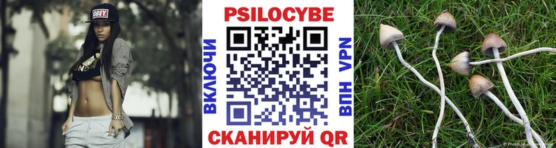 Галлюциногенные грибы мухоморы Медвежьегорск
